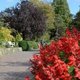 Garten im Wandel - Sommerliche Fülle