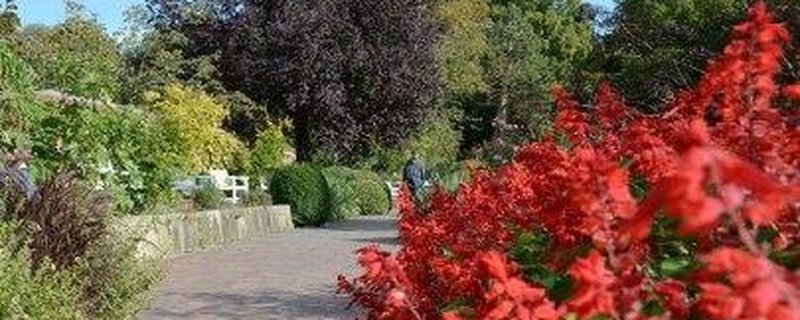 Garten im Wandel - Sommerliche Fülle