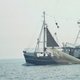 Film: Rund um die Nordseekrabbe