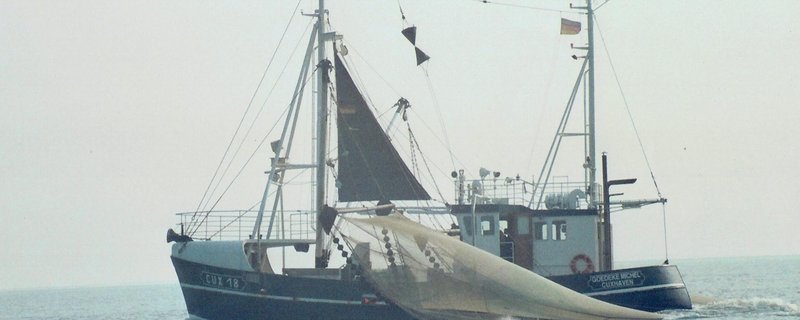 Film: Rund um die Nordseekrabbe