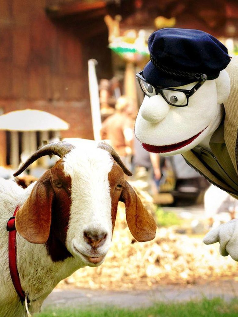 Werner Momsen - „Momsen, Tiere, Sensationen“