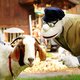 Werner Momsen - „Momsen, Tiere, Sensationen“