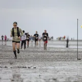 Red Bull Wattlauf