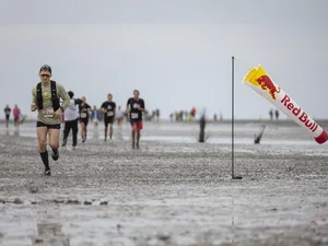 Red Bull Wattlauf