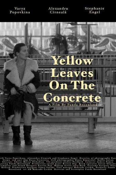 Yellow leaves on the concrete