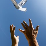 Gottesdienst am Pfingstsonntag