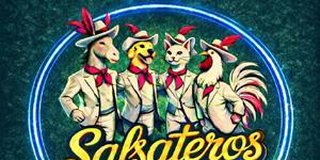 Salsateros Salsa Night