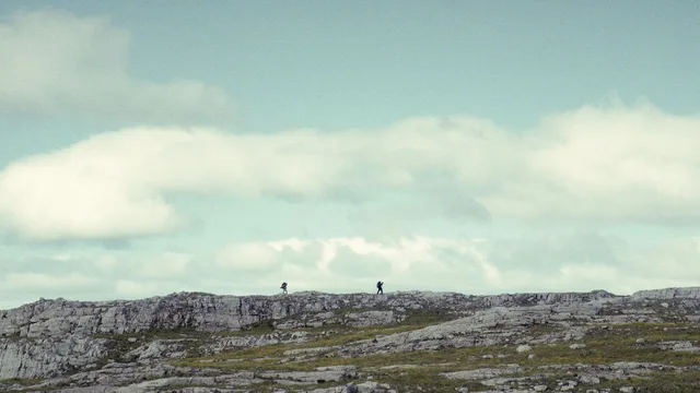 The North