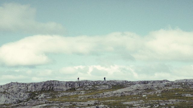 The North