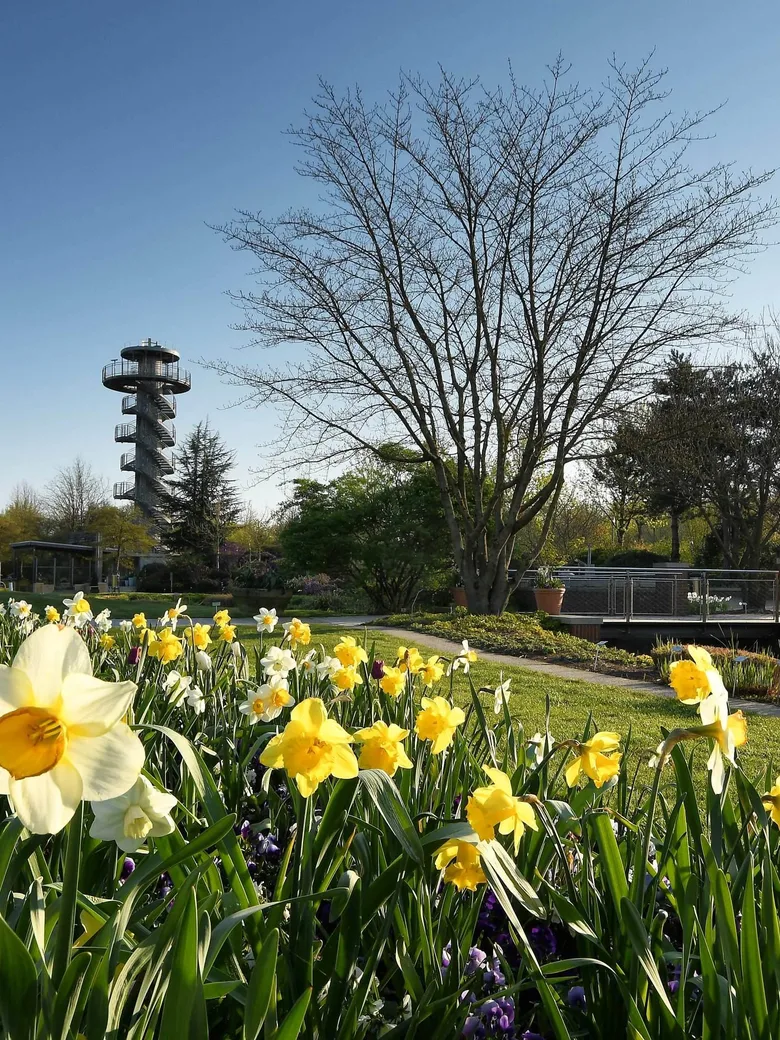 Sonderöffnung: Frühlingsboten im Park