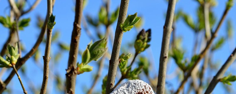 Familienfreundlicher Ostergottesdienst