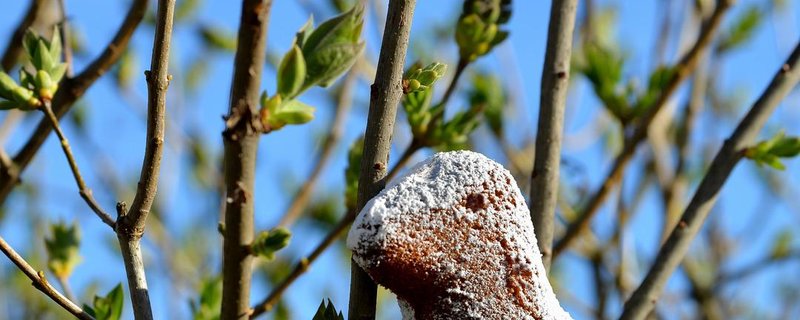 Familienfreundlicher Ostergottesdienst