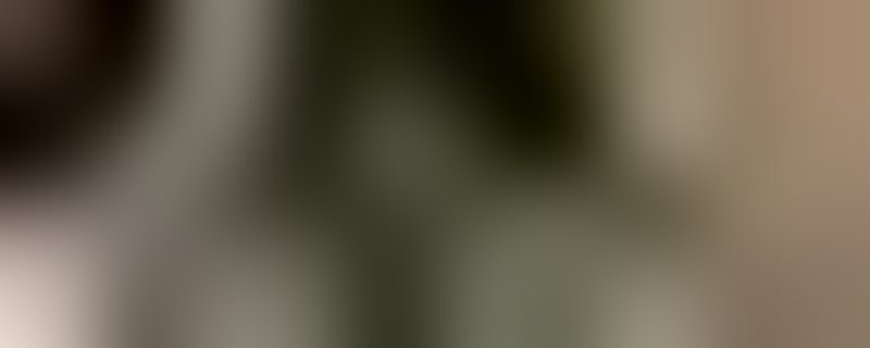 The Melt goes on forever. The Art & Times of David Hammons