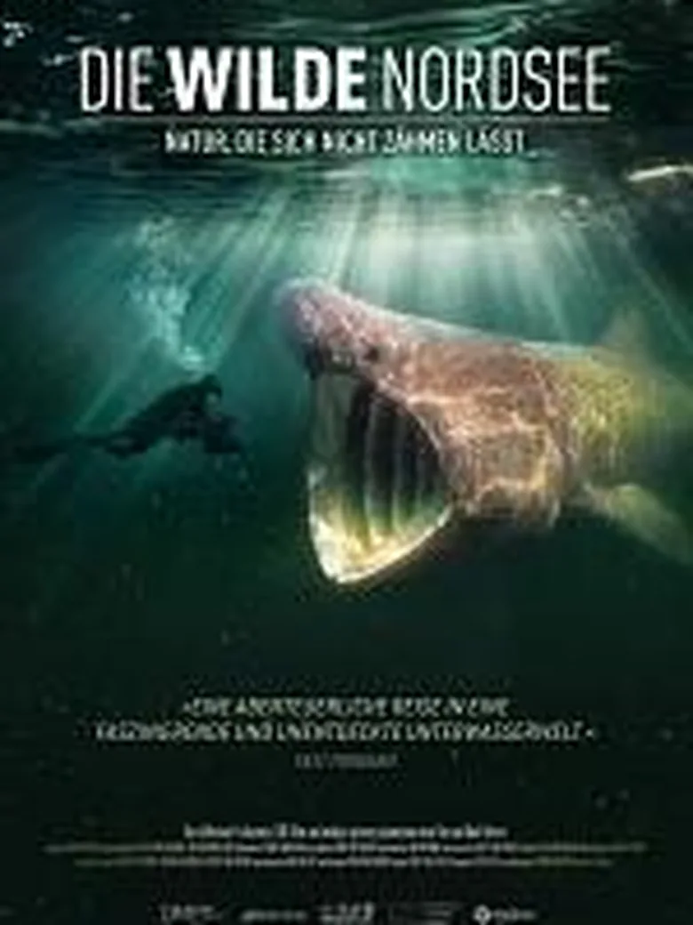 Kommunales Kino Lilienthal: Die wilde Nordsee