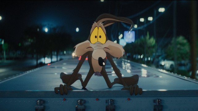 Coyote vs. ACME
