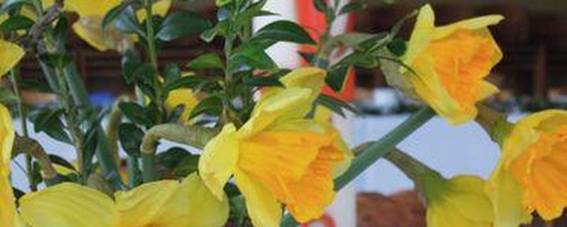 Gottesdienst für Kleine und Große