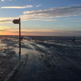 Abendwatt und Krabbelkrebse