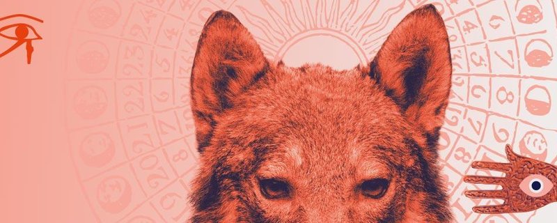 Magische Begleiter – Erfinden und zum Leben erwecken!