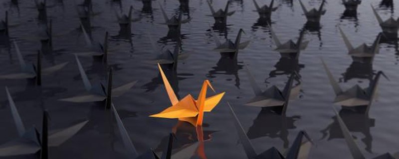 Taube oder Kranich… Die Sehnsucht nach Hoffnung