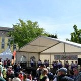 5. Oldenburger Sportsommer