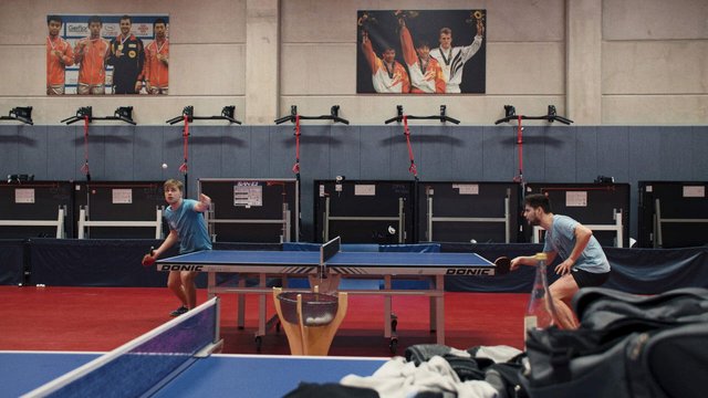Ping Pong Paradise
