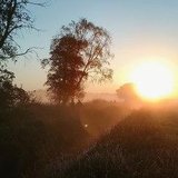 Everstener Moorspaziergänge