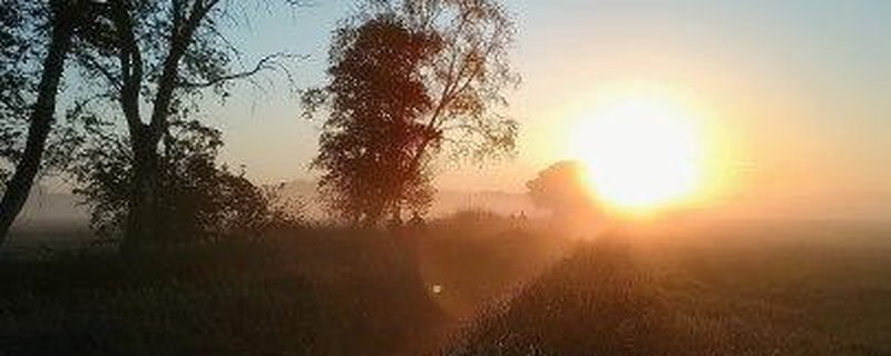 Everstener Moorspaziergänge