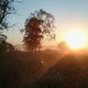 Everstener Moorspaziergänge