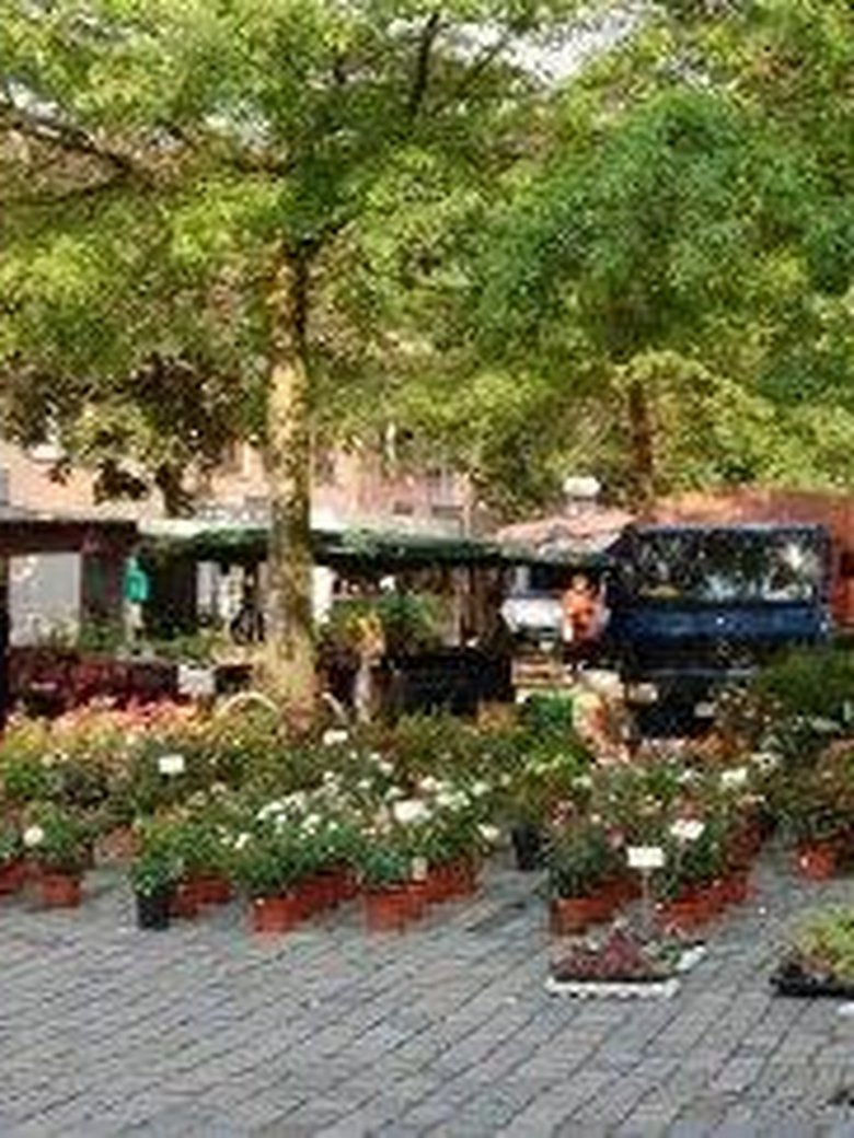 Wochenmarkt Kreyenbrück