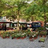 Wochenmarkt Kreyenbrück