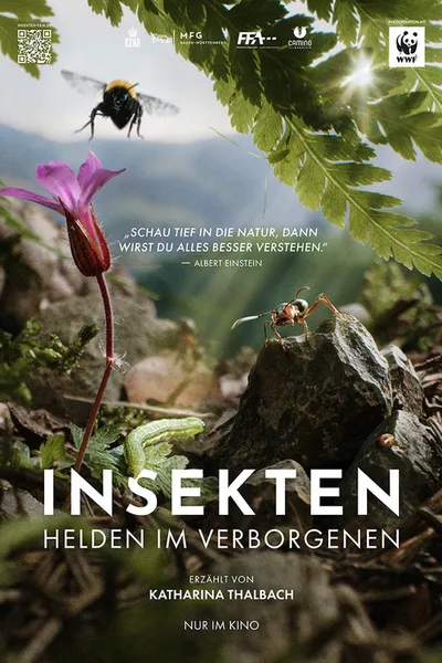 Insekten - Helden im Verborgenen