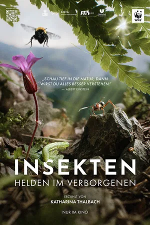 Insekten - Helden im Verborgenen