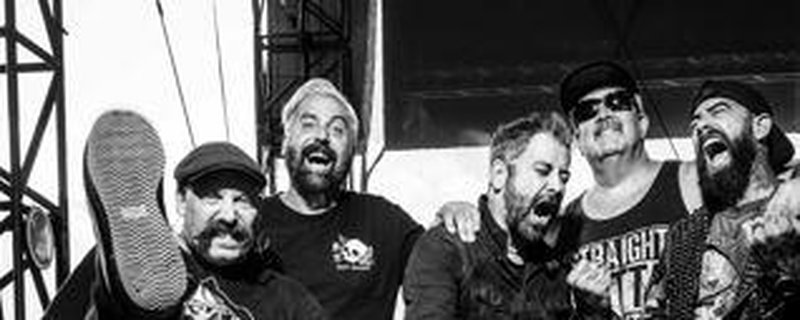 ZEBRAHEAD