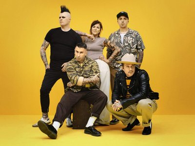 Broilers