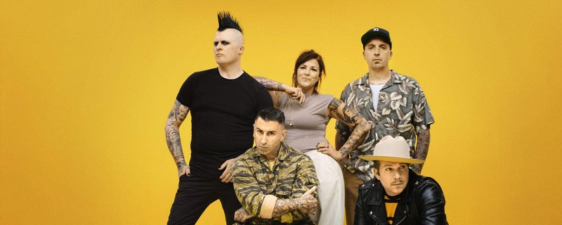 Broilers