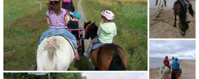 Ponyreiten für Kinder