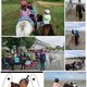Ponyreiten für Kinder