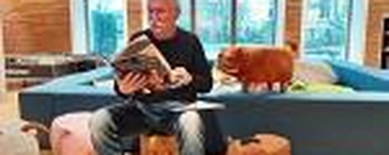 Bilderbuchkino in der Bibliothek Weyhe