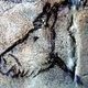 "Pferd, Mammut und Hirsch - Auf Spurensuche in der Eiszeit“
