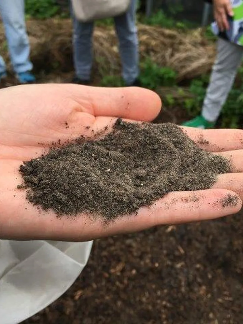 Terra Preta - fruchtbare schwarze Erde