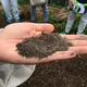 Terra Preta - fruchtbare schwarze Erde