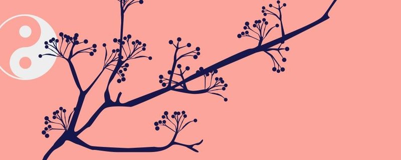 Ikebana: Sogetsu-Schule