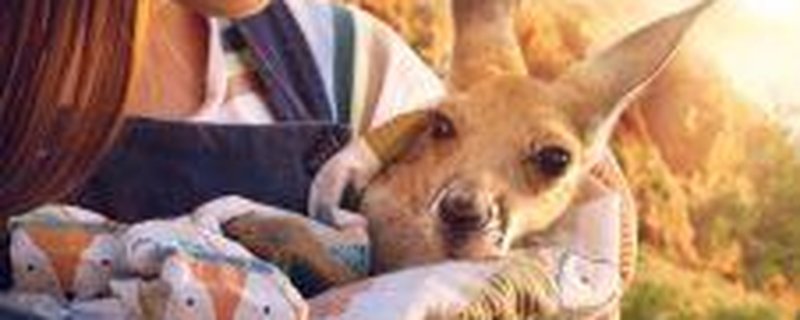 Lilly und die Kängurus