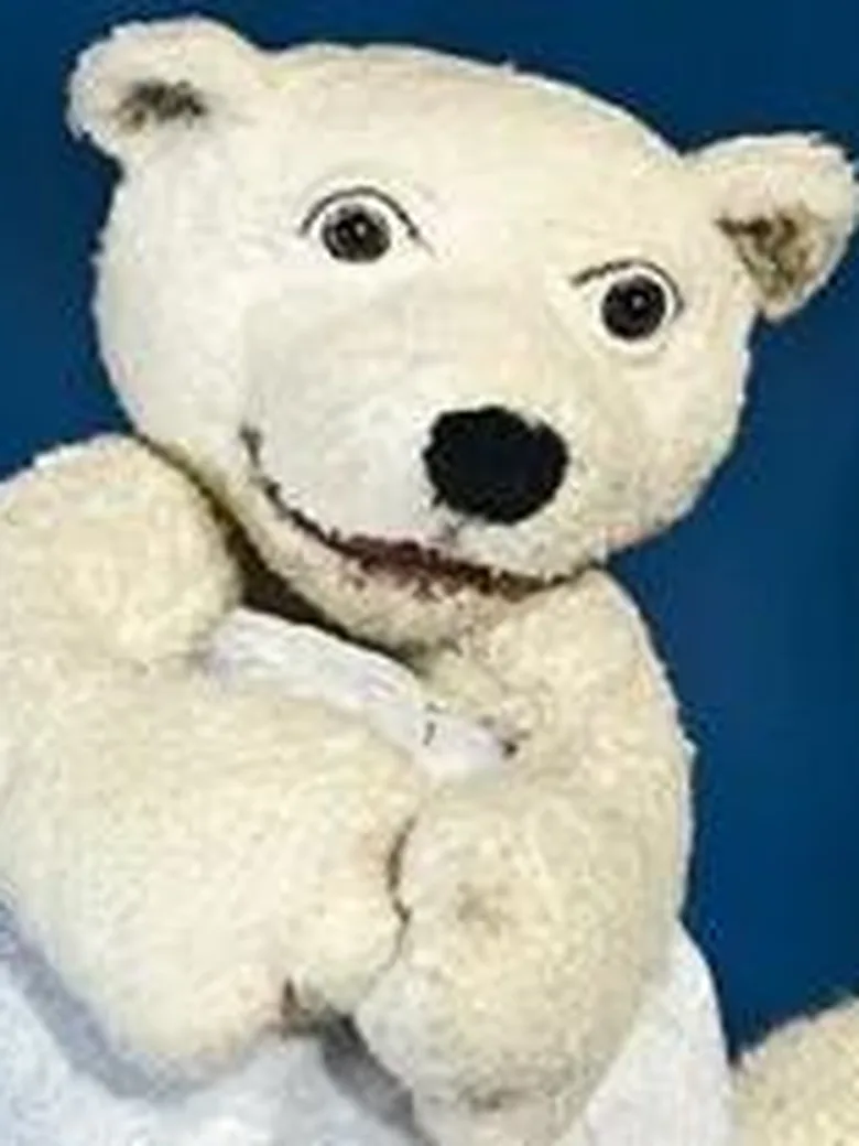 Kleiner Eisbär, wohin fährst du?