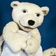 Kleiner Eisbär, wohin fährst du?