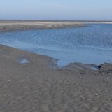 Flut erleben für ALLE