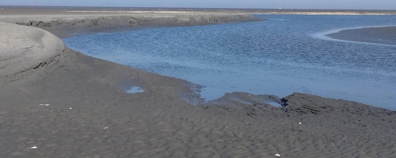 Flut erleben für ALLE