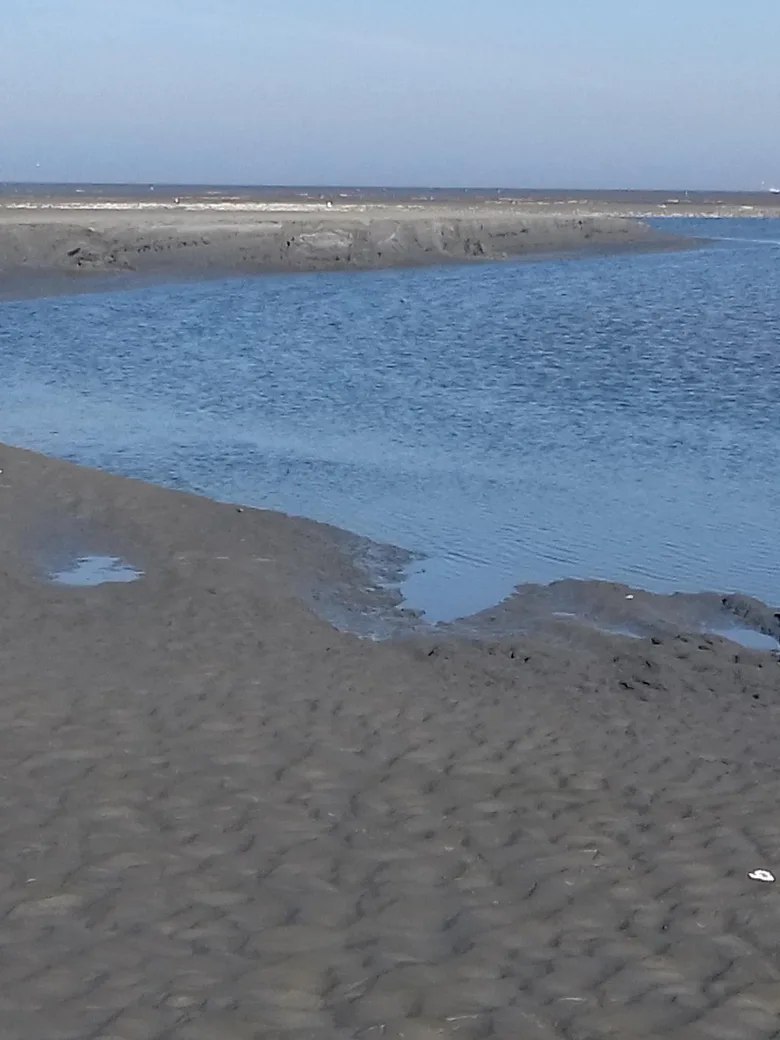 Flut erleben für ALLE