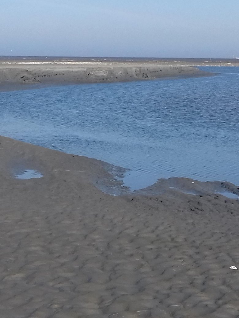 Flut erleben für ALLE