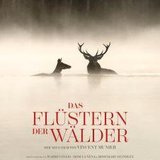 Das Flüstern der Wälder